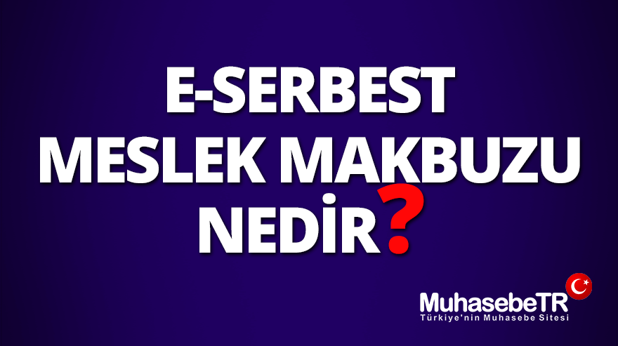 E-Serbest Meslek Makbuzu